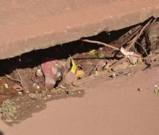 Imagem retirada de http://www.sertaozinho.sp.gov.br/conteudo/descarte-incorreto-de-lixo-pode-ocasionar-entupimentos-e-vazamentos.html#.WahPMtyJiUk